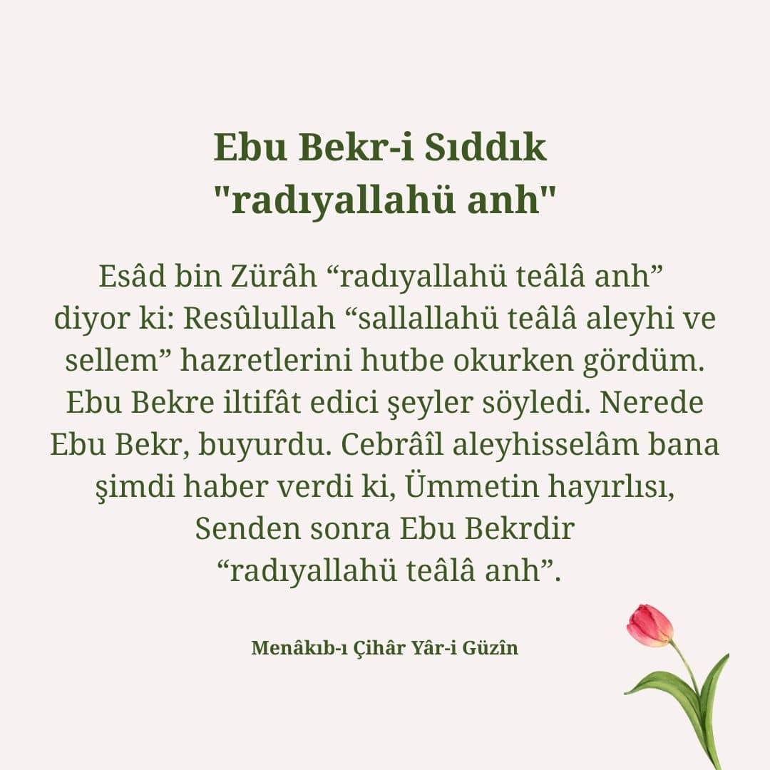Ebu Bekr-i Sıddık (38)